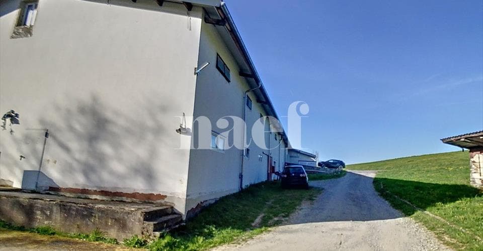 Chemin des Planches à Michoud 10