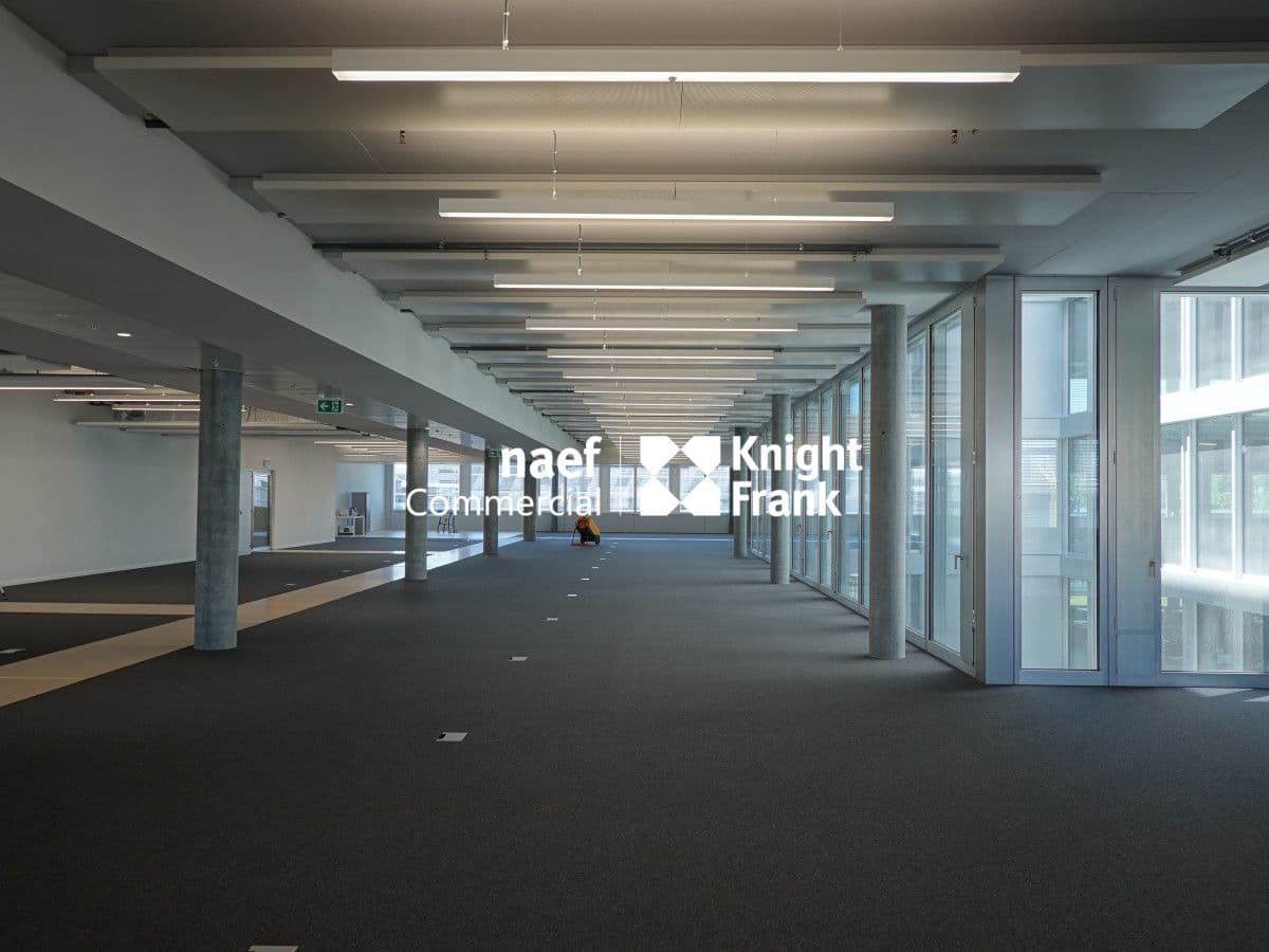 Büro an Route de la Galaise 32, 1228 Plan-les-Ouates – Bild 3 von 4