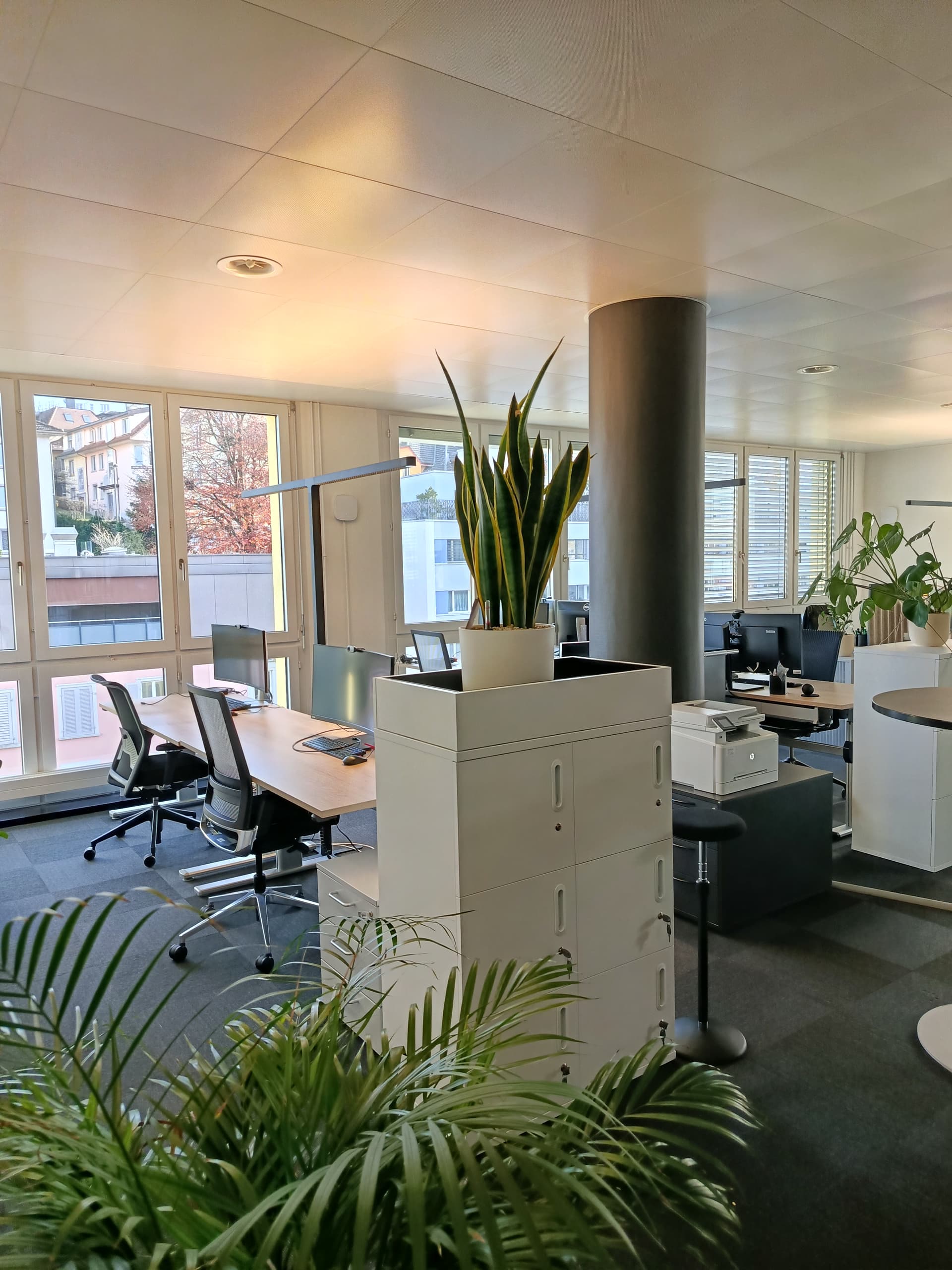 Office Maihofstrasse 1
