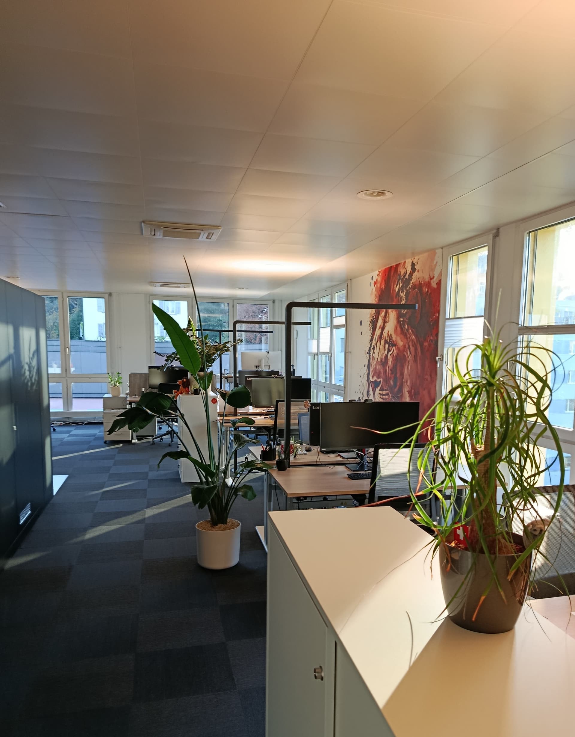 Büro an Maihofstrasse 1, 6004 Luzern – Bild 2 von 5