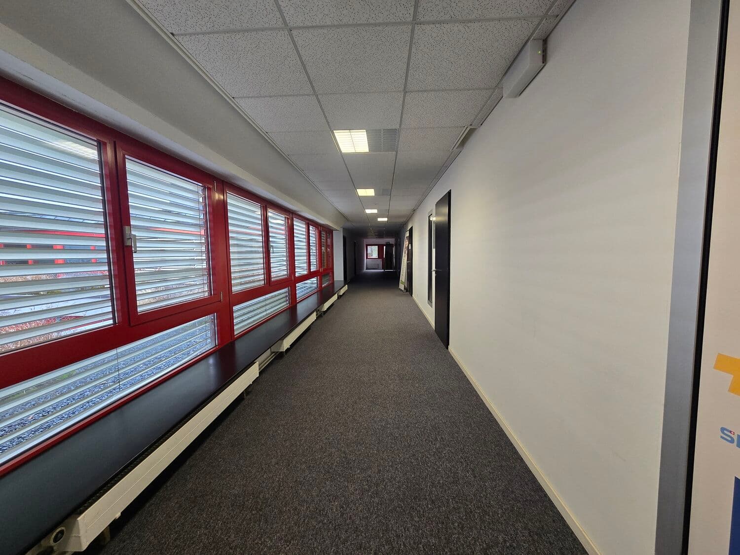 Office Rue des Tuillières 1