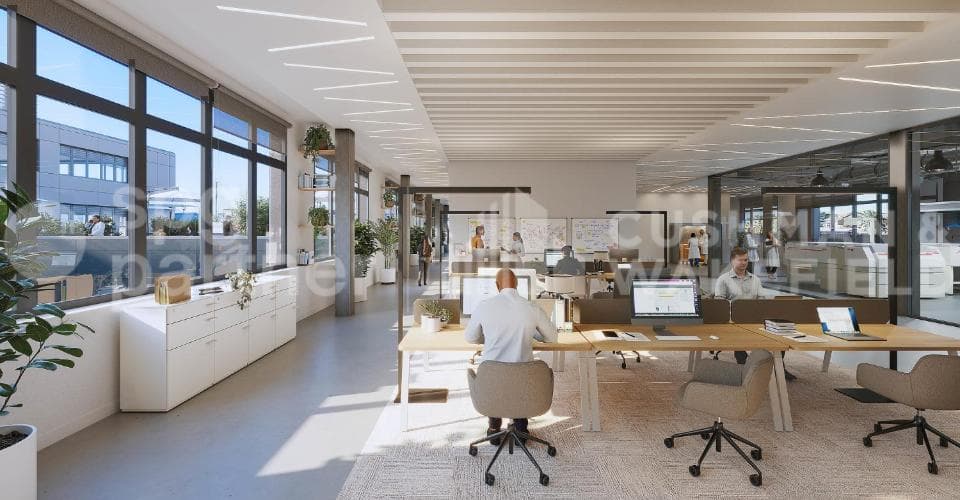 Rue du Pré Bouvier 31