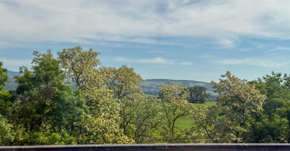 Lager in 1260 Nyon, CHF 5'500 pro Monat – Bild 4 von 13