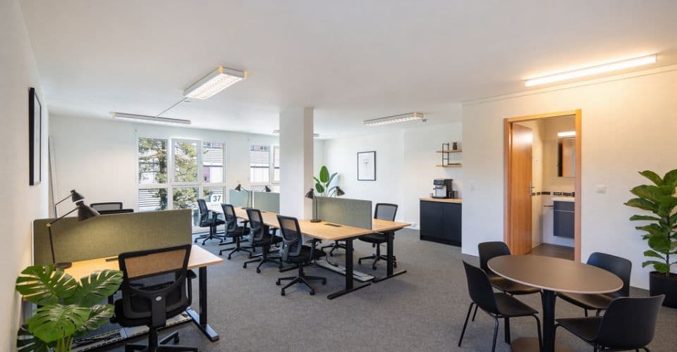 Commercial Space at Chemin de Maillefer 47 A, 1052 Le Mont-sur-Lausanne – Photo 4 of 12