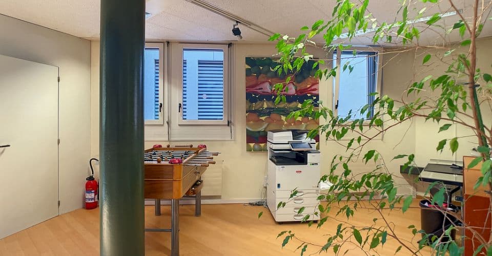 Büro an Chemin des Plantaz 46, 1260 Nyon – Bild 5 von 8