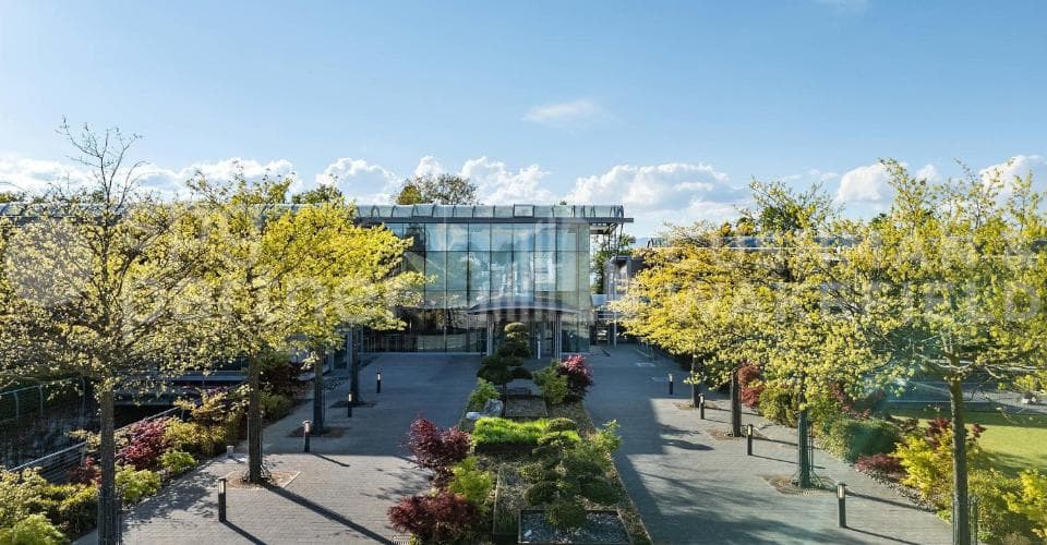 Büro an Route de Thonon 153, 1245 Collonge-Bellerive – Bild 5 von 14