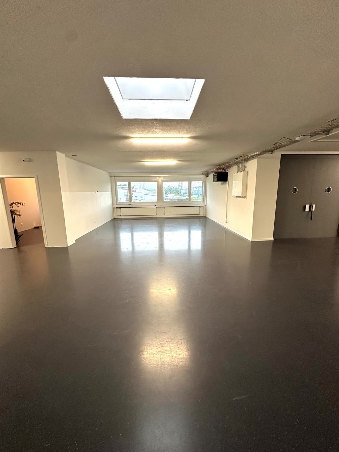 Office Riedwiesenstrasse 23
