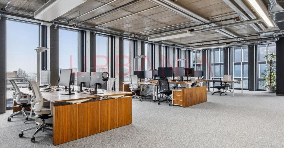 Büro an Pont-Rouge , 1212 Grand-Lancy – Bild 3 von 8