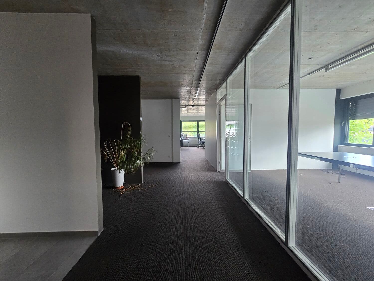 Büro an Chemin de Budron H11, 1052 Le Mont-sur-Lausanne – Bild 3 von 9