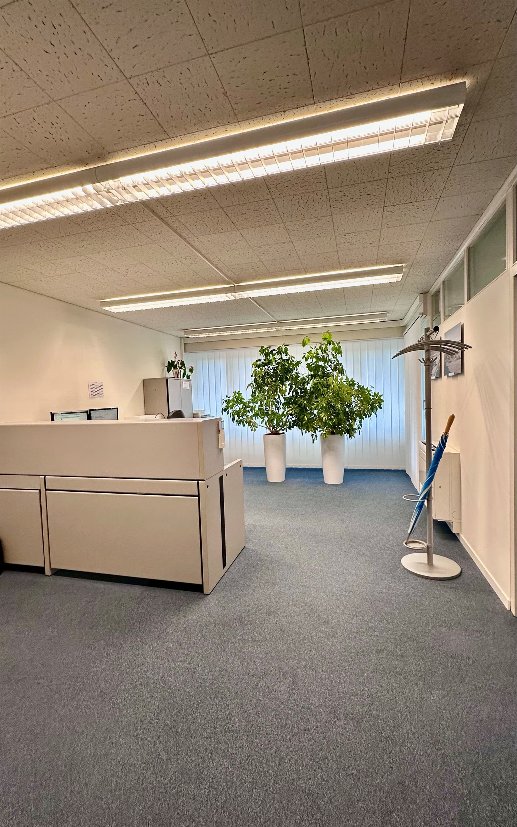 Büro an Chamerstrasse 12 A, 6300 Zug – Bild 3 von 8