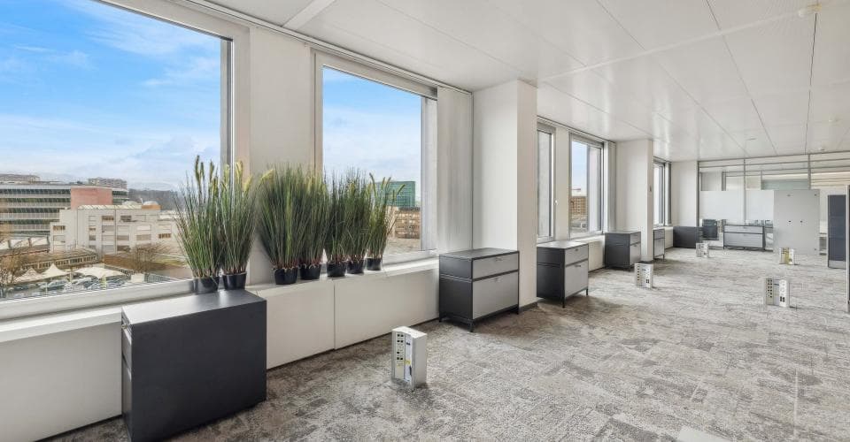 Büro an Route des Acacias 48, 1227 Les Acacias – Bild 3 von 10