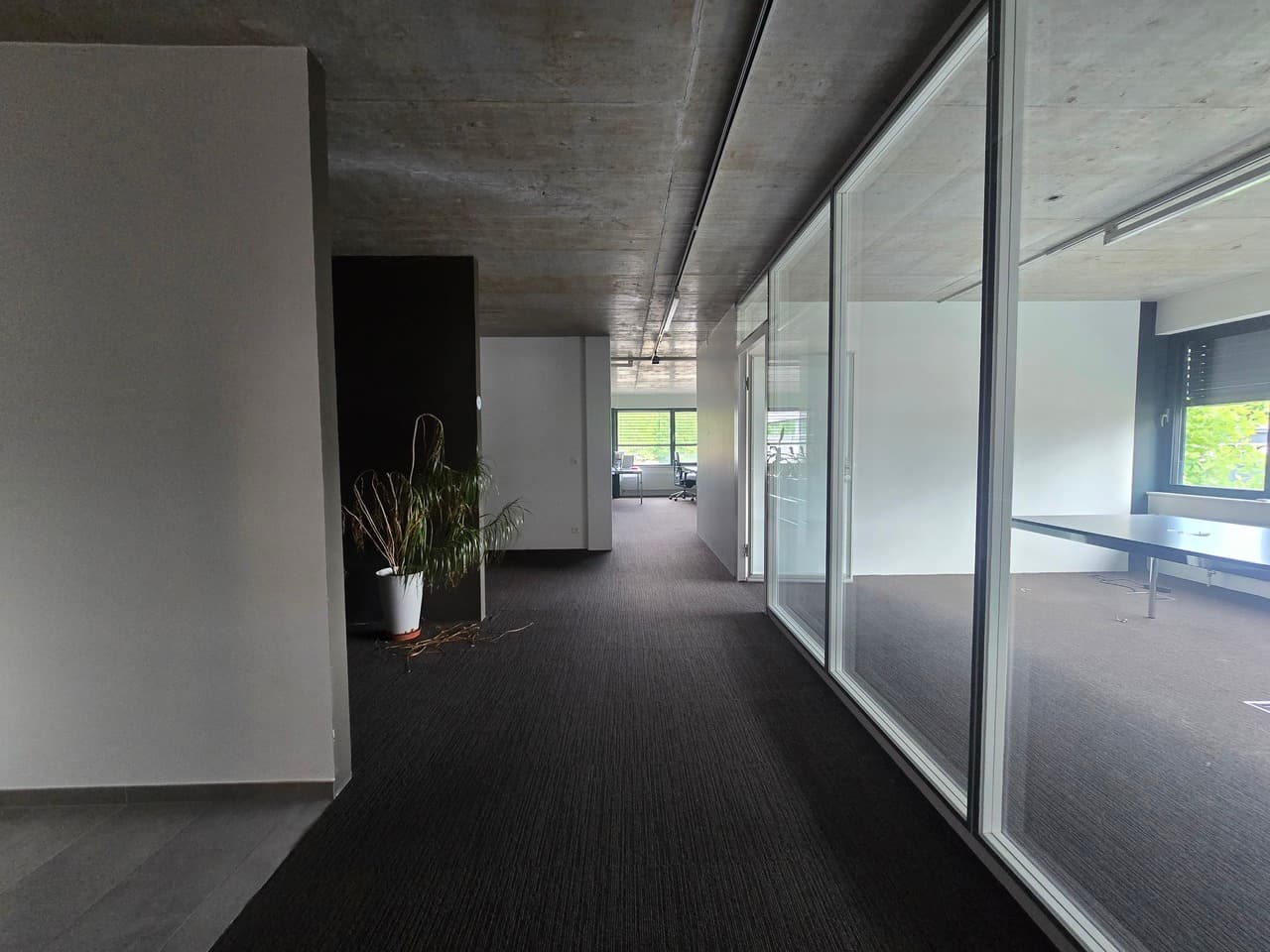 Office at Chemin de Budron H11, 1052 Le Mont-sur-Lausanne – Photo 3 of 9