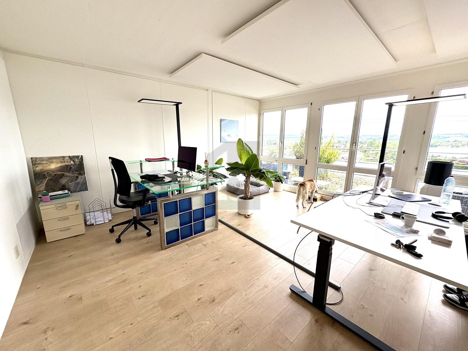 Büro in 8808 Pfäffikon SZ, 160m² – Bild 3 von 6