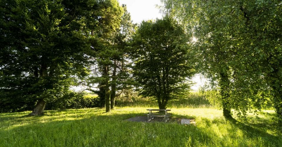 Gewerbe an Le Bey 24, 1442 Montagny-près-Yverdon – Bild 5 von 22