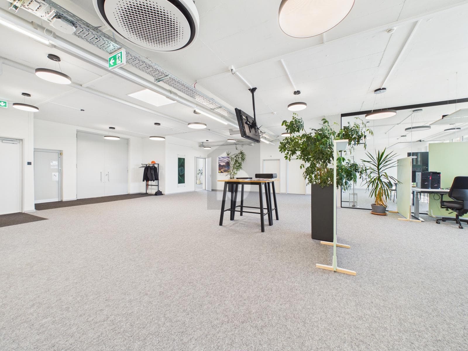 Büro in 4600 Olten, 950m² – Bild 2 von 6