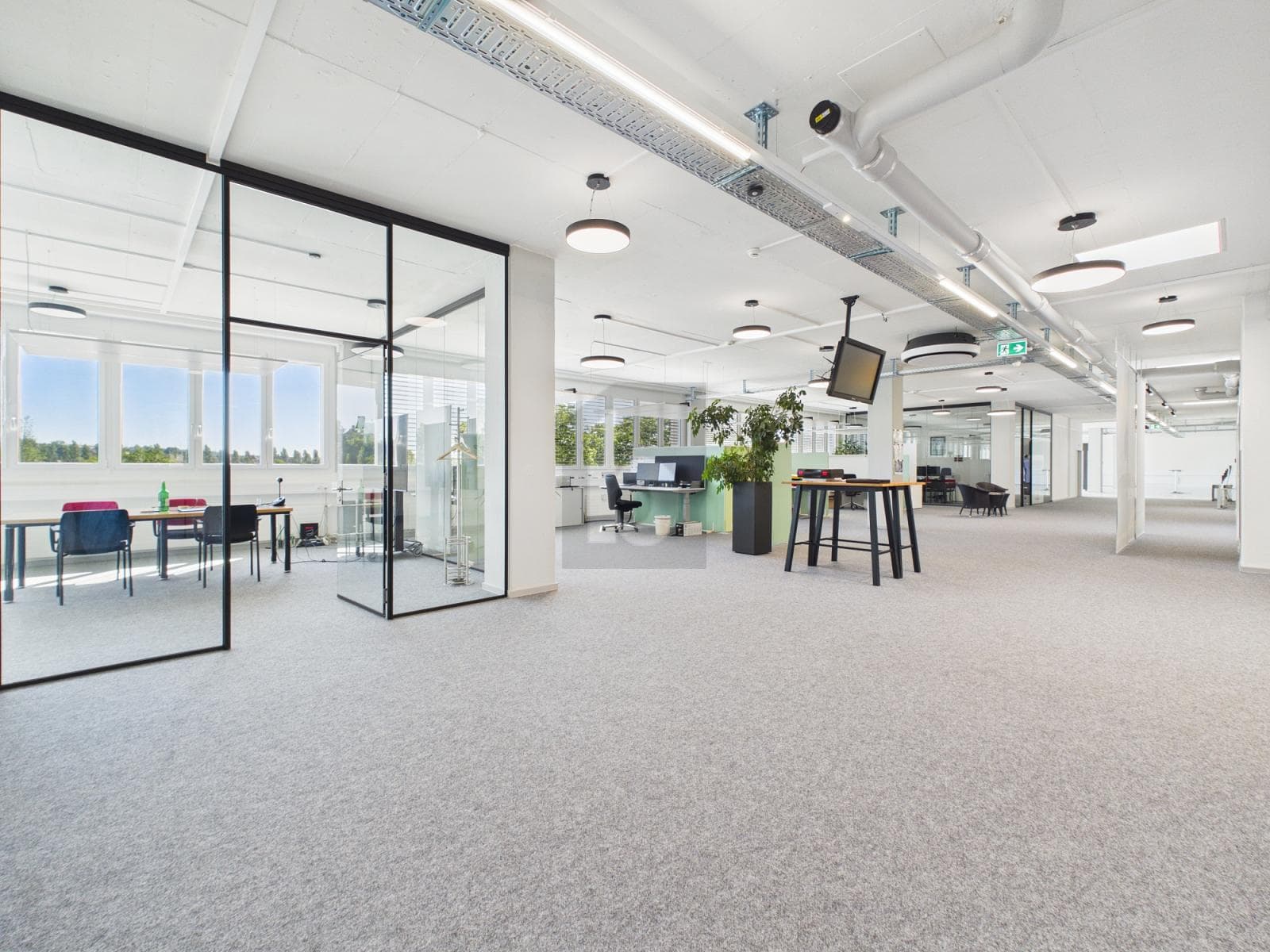 Büro in 4600 Olten, 950m² – Bild 3 von 6