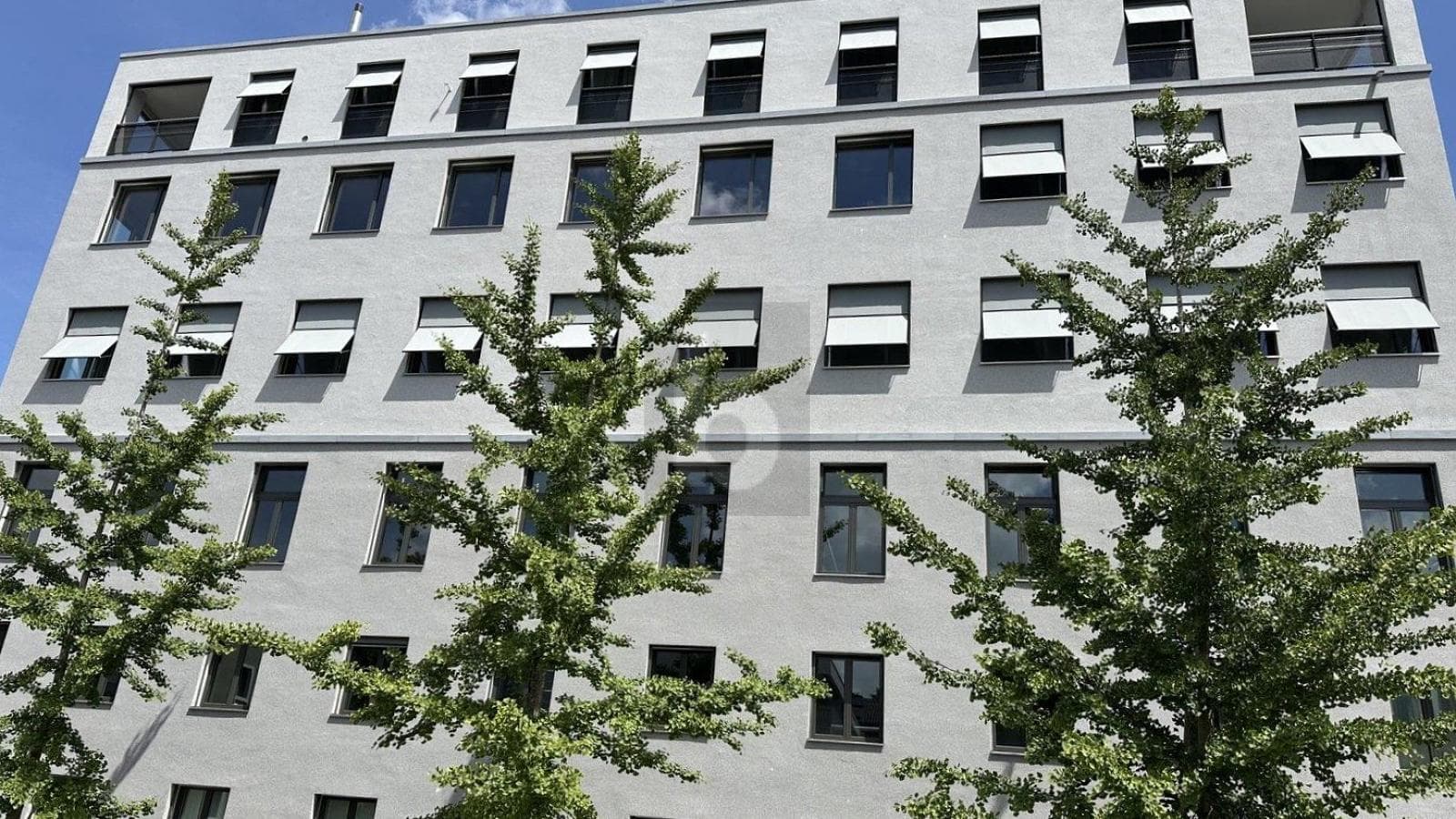 Büro in 8620 Wetzikon ZH, 182m² – Bild 5 von 6