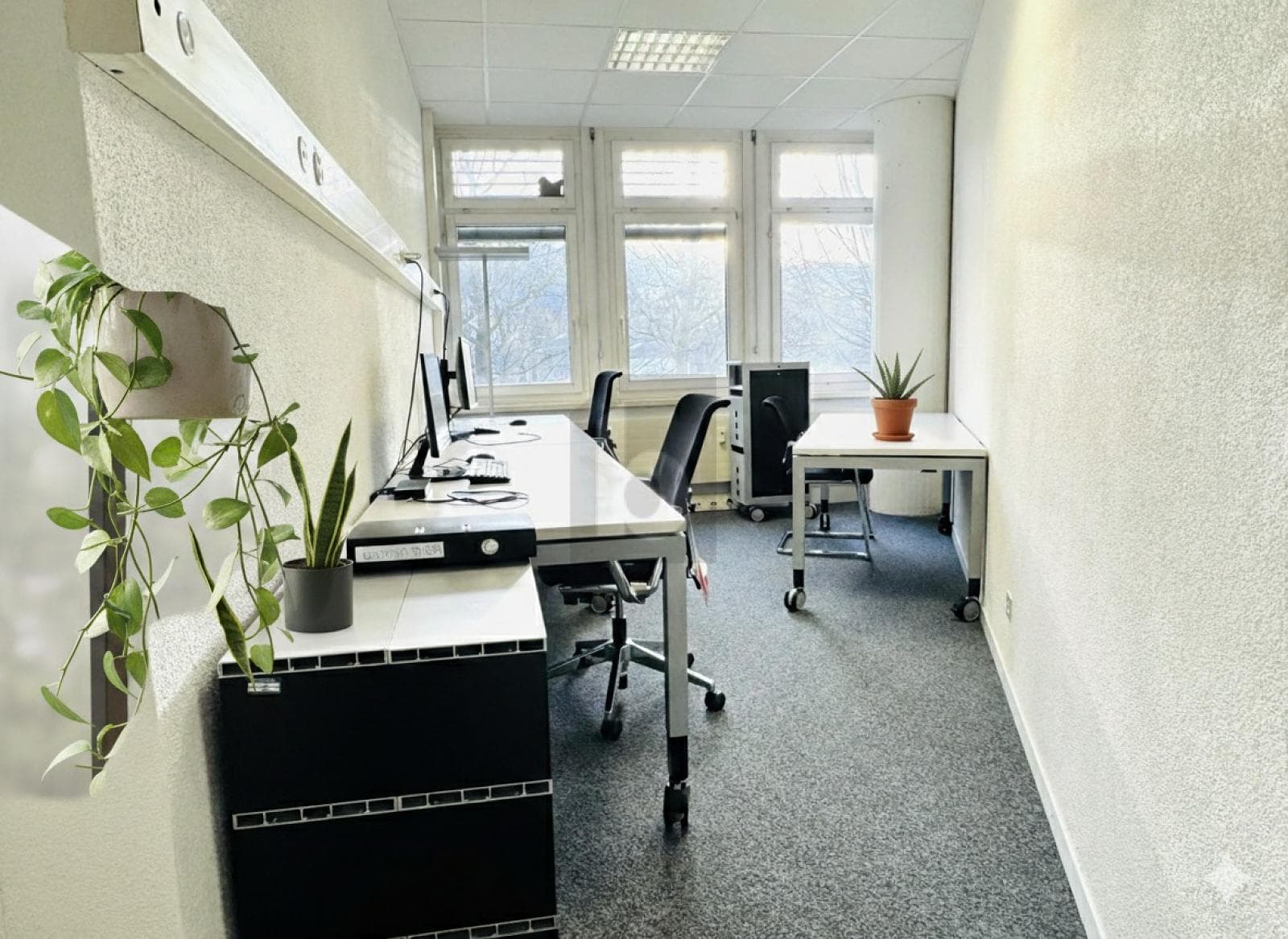 Büro in 6005 Luzern, 250m² – Bild 2 von 6