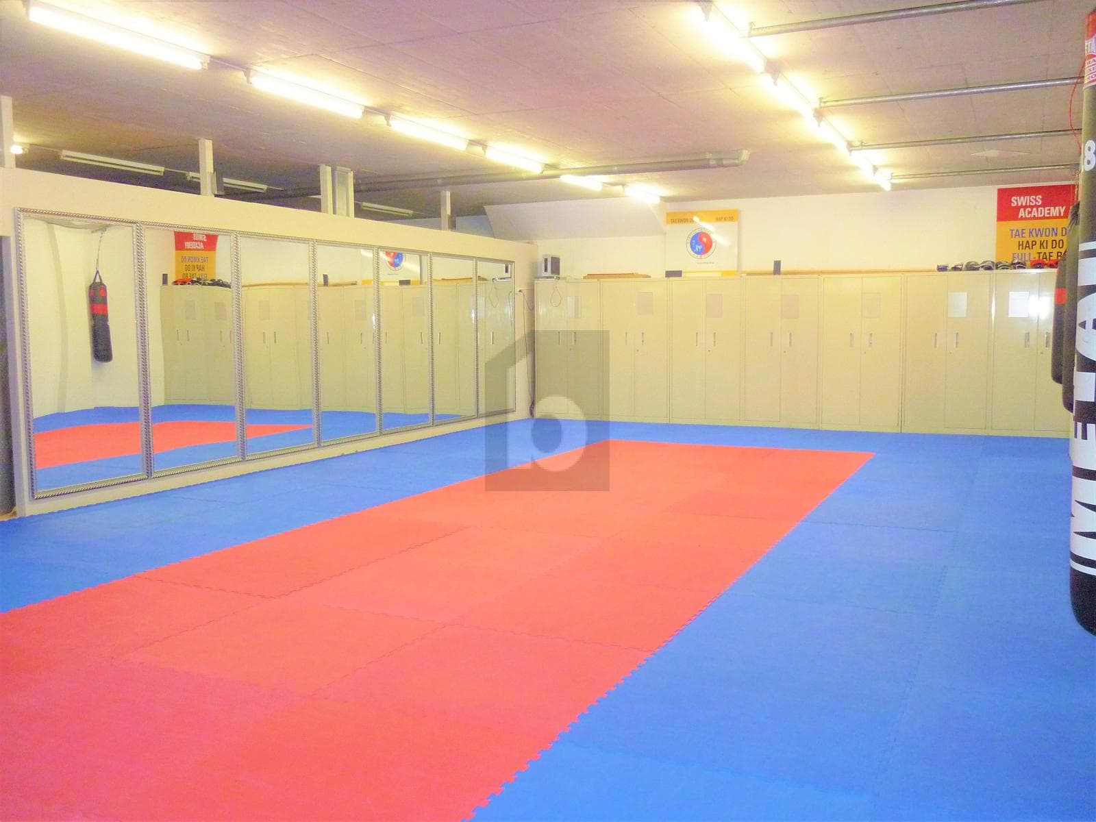 Industrie in 1305 Penthalaz, 170m² – Bild 2 von 6