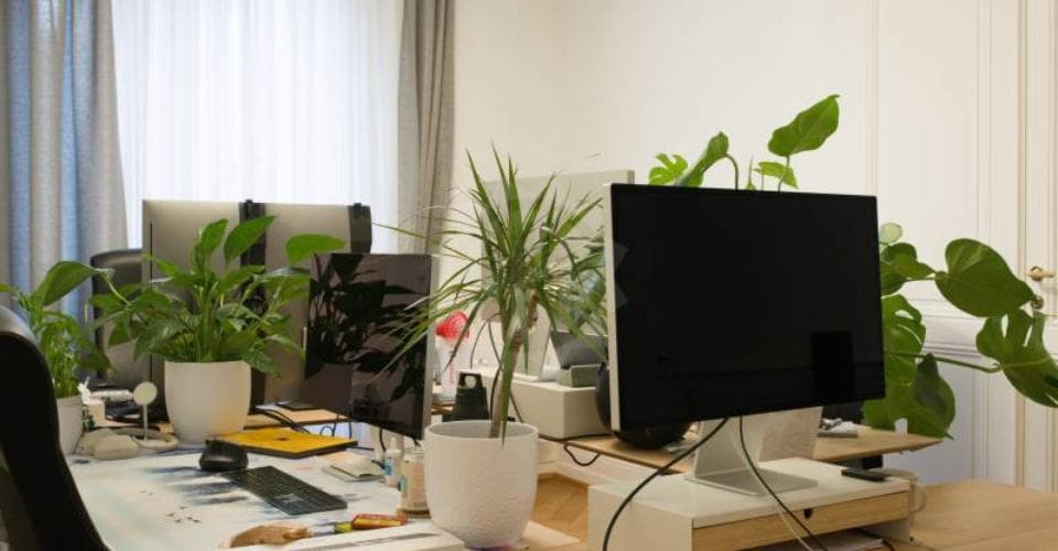 Büro an Boulevard des Tranchées 4 , 1205 Genf – Bild 5 von 8
