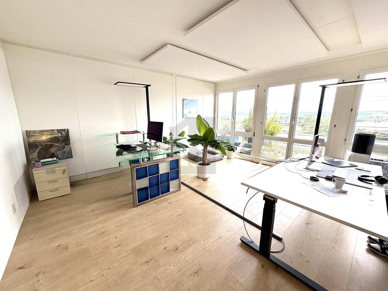 Büro in 8808 Pfäffikon SZ, 160m² – Bild 5 von 6