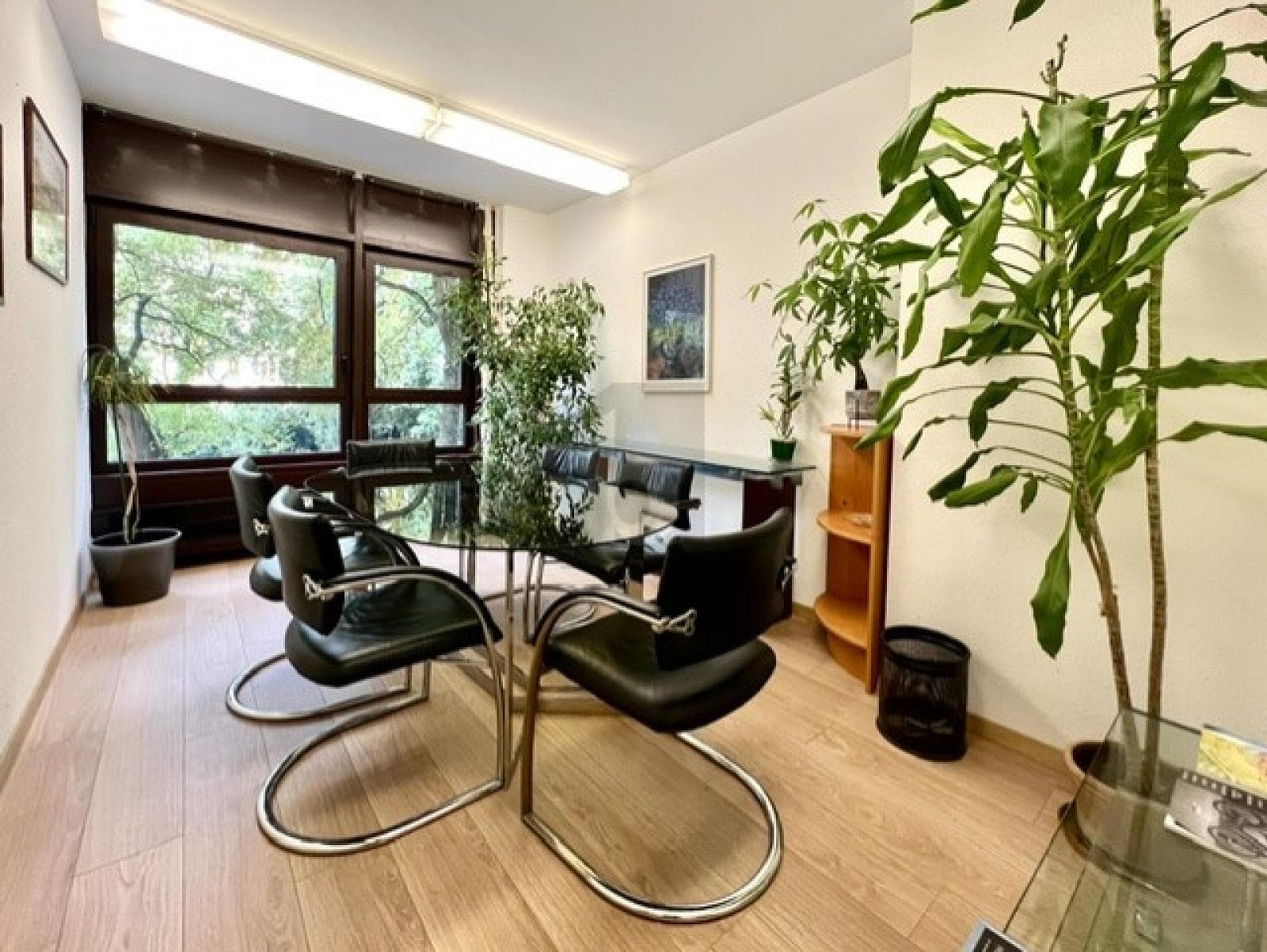 Büro in 1206 Genf, 24m² – Bild 3 von 6