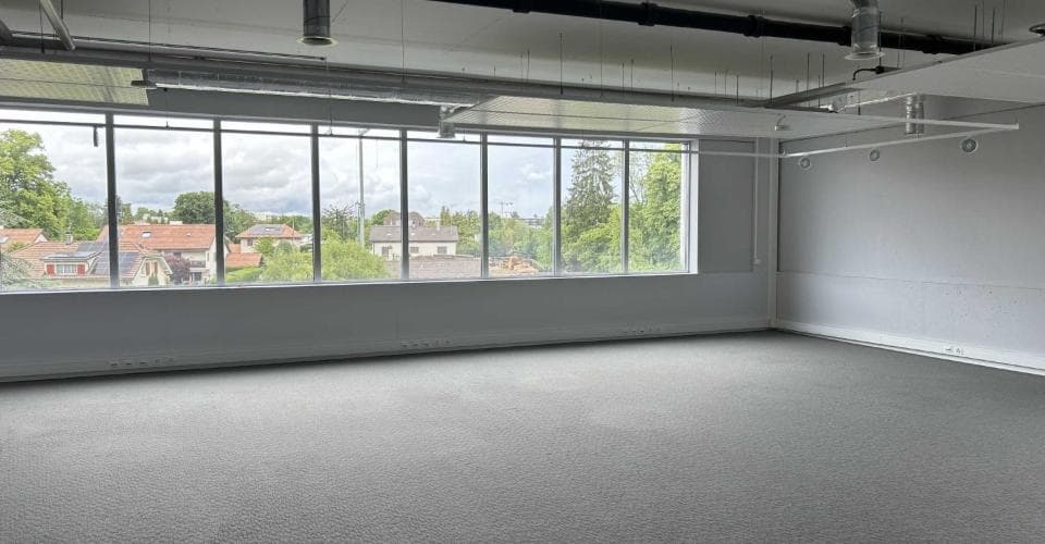 Industrie au Rue Emma-KAMMACHER 8, 1217 Meyrin – Photo 2 sur 9