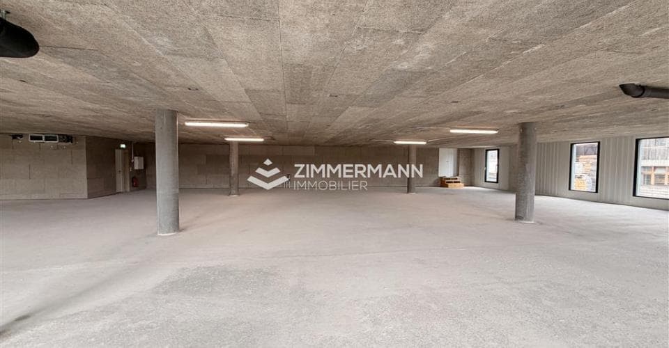Gewerbe an Rue des Ateliers, 1217 Meyrin – Bild 4 von 12