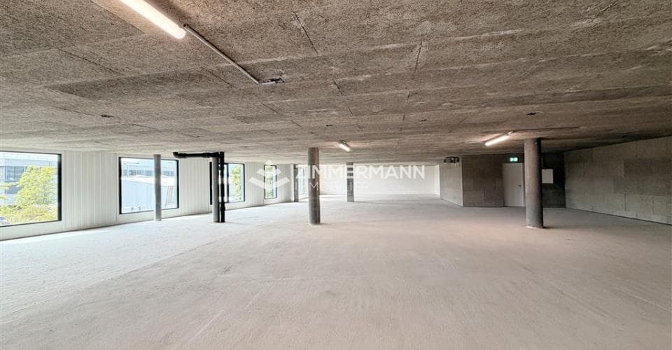 Gewerbe an Rue des Ateliers, 1217 Meyrin – Bild 3 von 12