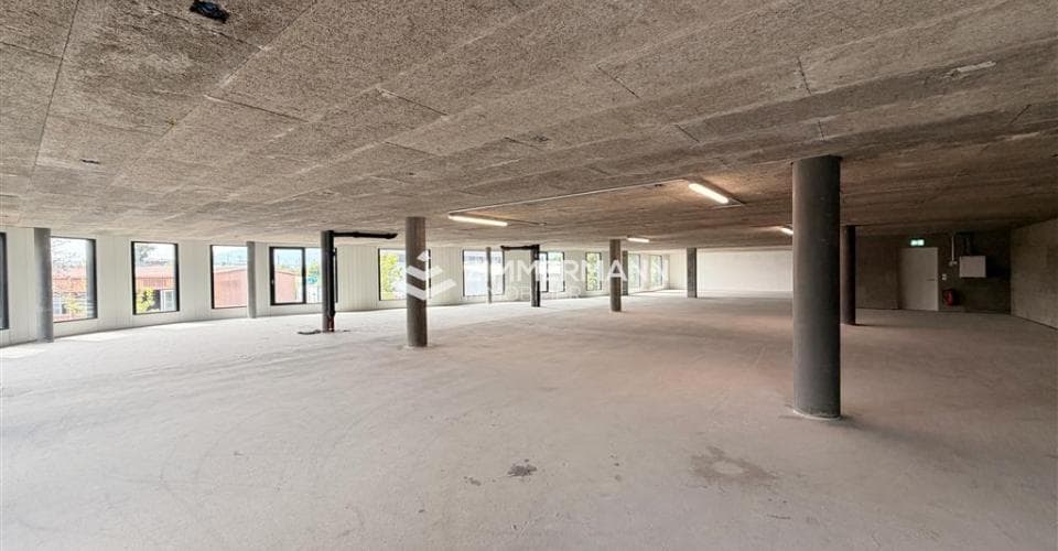 Gewerbe an Rue des Ateliers, 1217 Meyrin – Bild 2 von 12