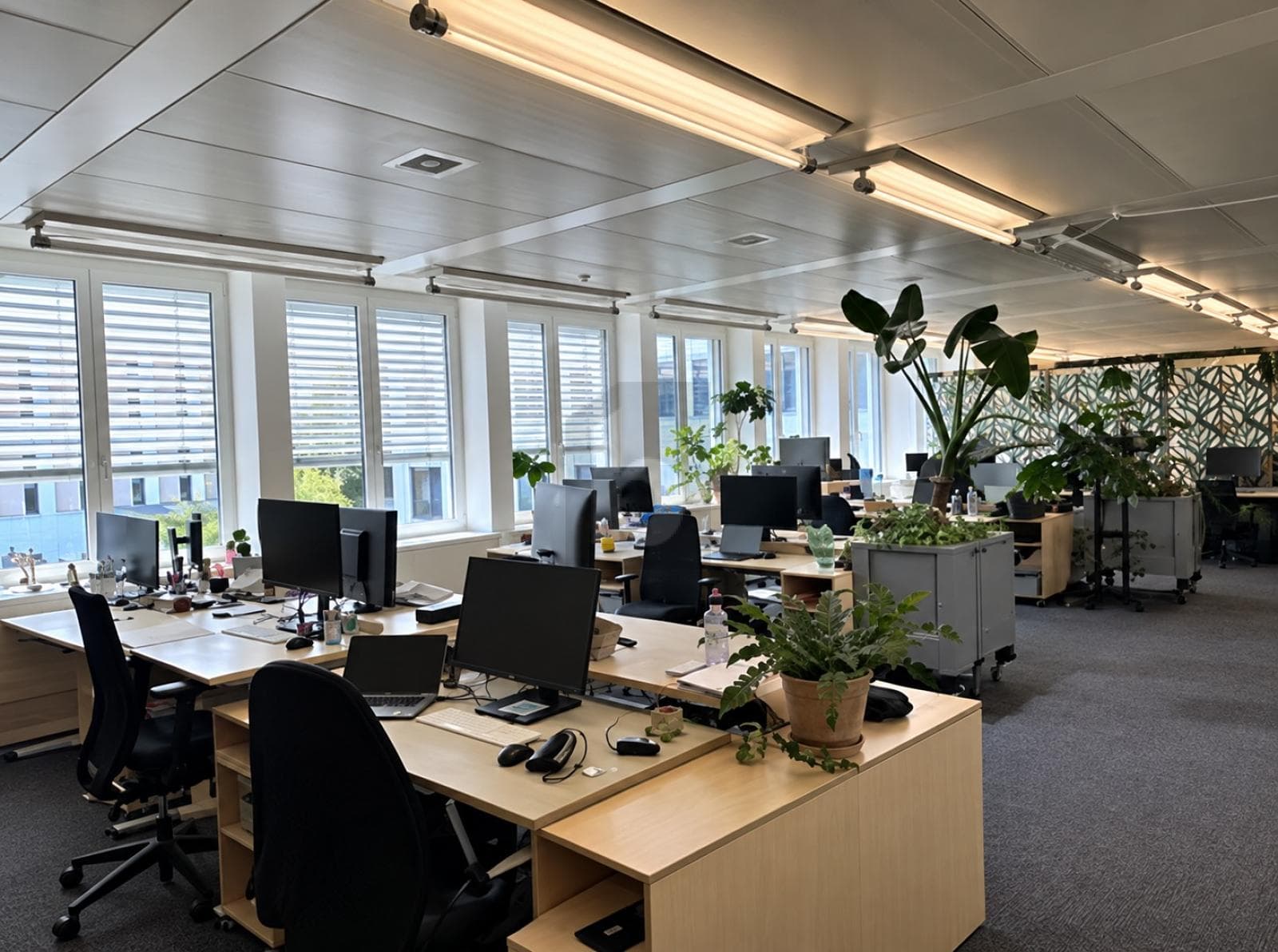 Büro in 8045 Zürich, 261m² – Bild 2 von 6