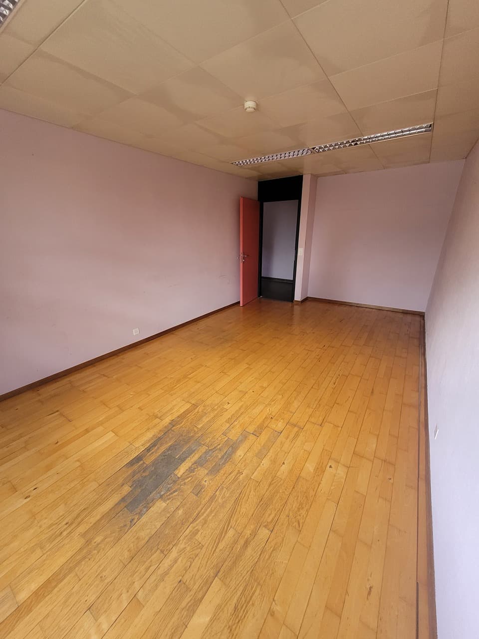 Büro an Chemin des Roses  90A, 1844 Villeneuve VD – Bild 2 von 6