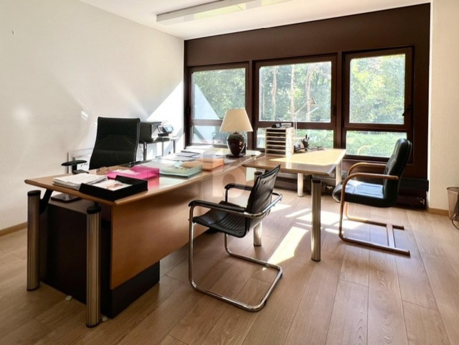 Büro in 1206 Genf, 24m²