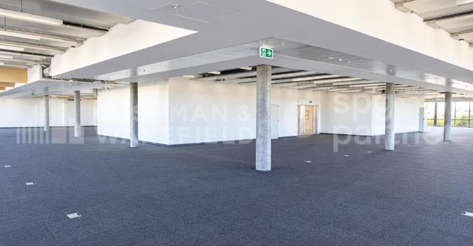 Industrie an Route de la Galaise 36, 1228 Plan-les-Ouates – Bild 3 von 12