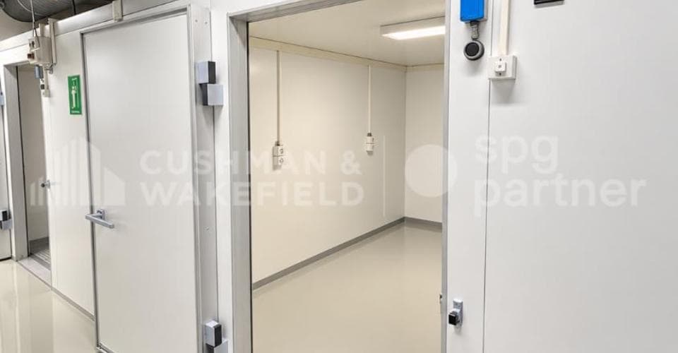 Gewerbe an Chemin des Aulx 14, 1228 Plan-les-Ouates – Bild 3 von 14