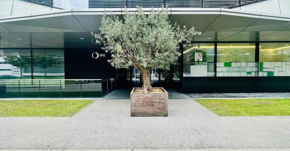 Büro an Crassier 19, 1262 Eysins – Bild 2 von 7