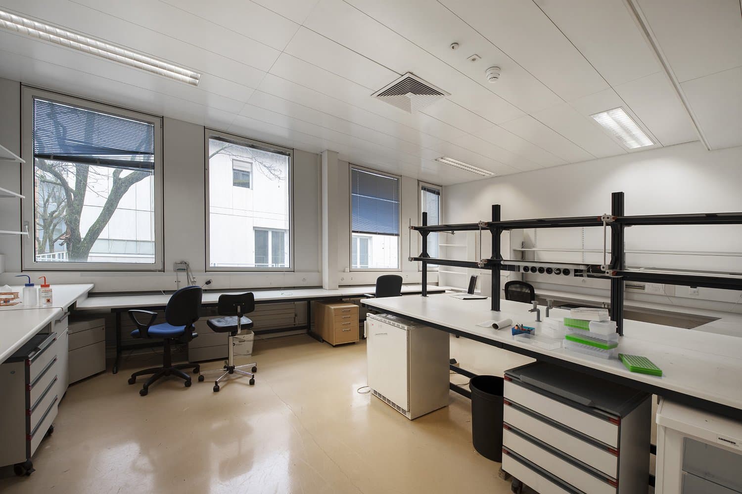 https://media2.homegate.ch/listings/v2/o017/4001350015/image/42c0b04c80fe0c0e97a3810bfa25cf48.jpg