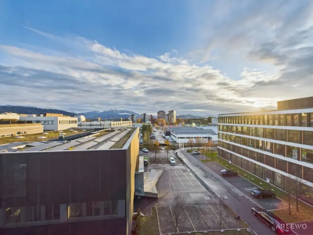 Office Riedstrasse 8