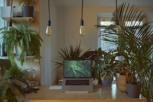 Wichtige Tipps und Aspekte rund um die Luftqualität im Büro