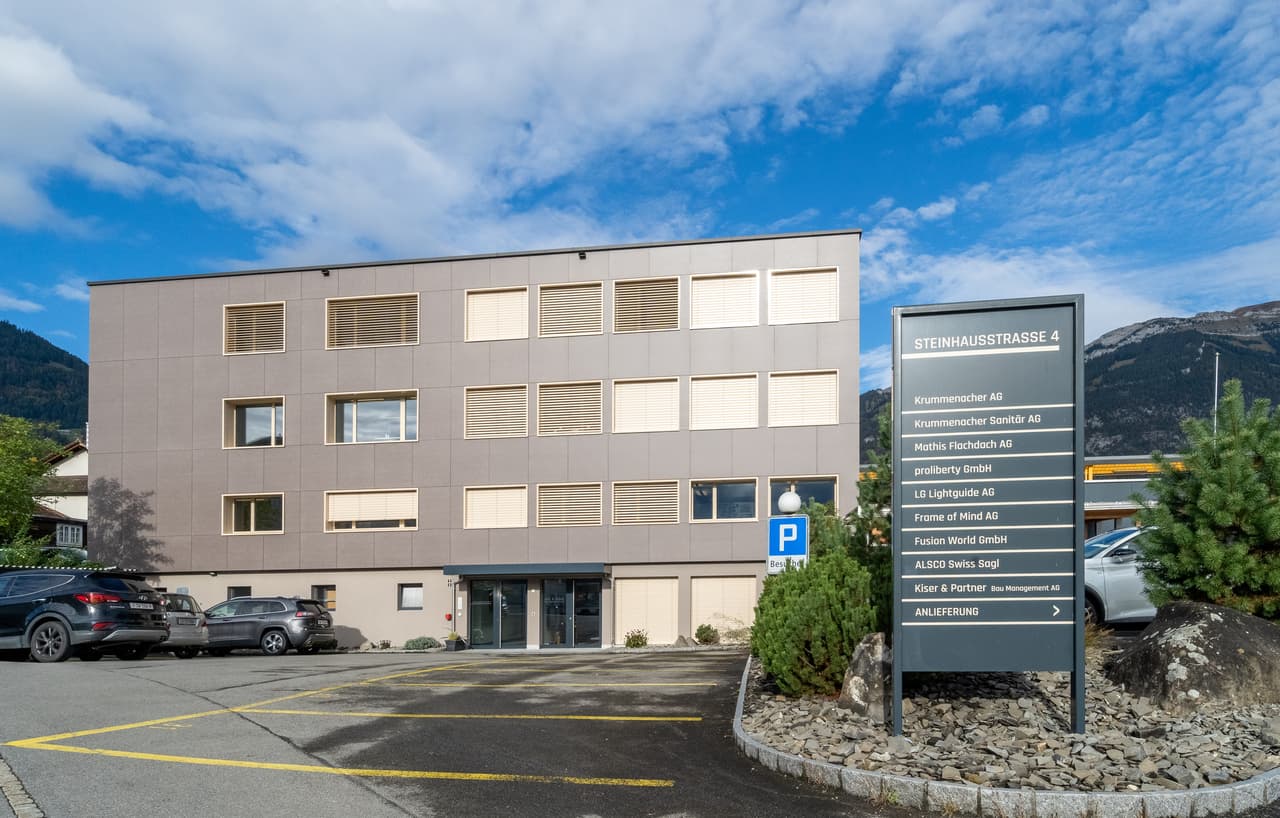 Office Steinhausstrasse 4
