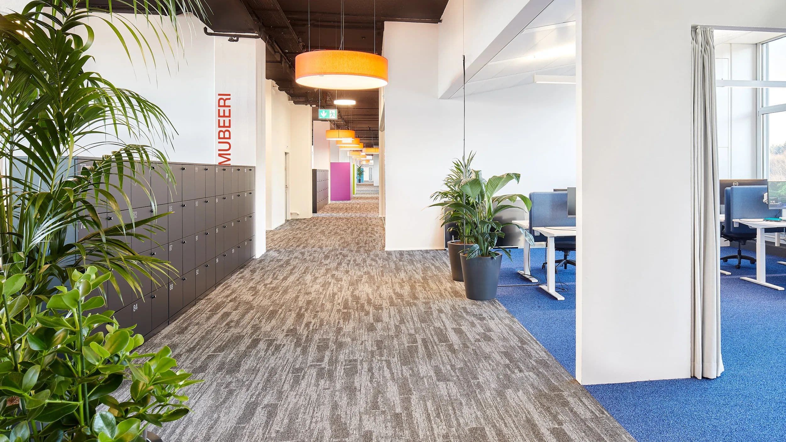 Office Freiburgstrasse 251