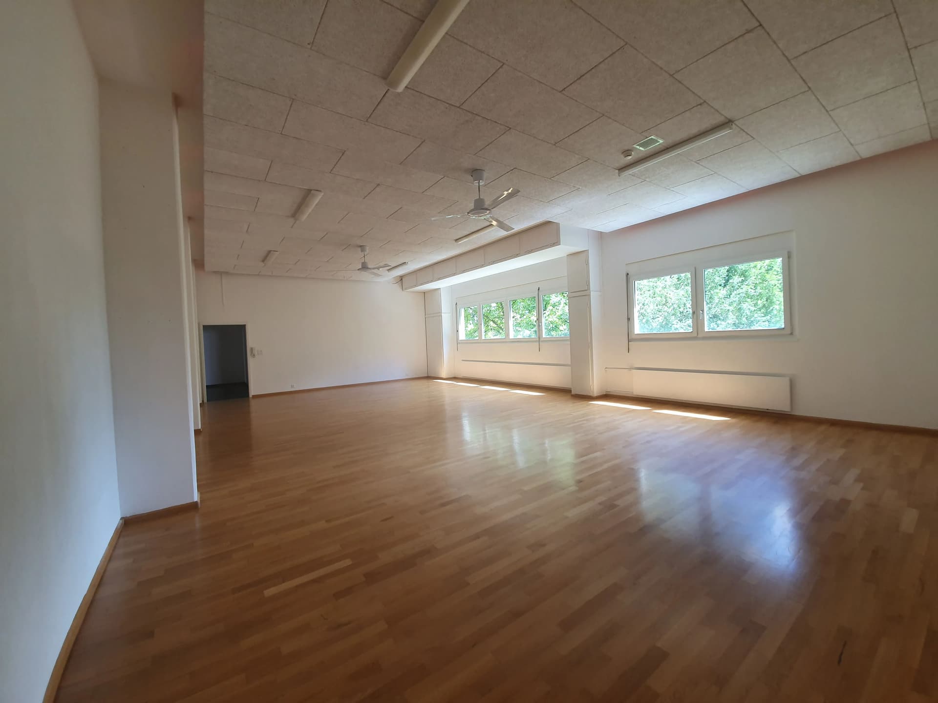 Office Falkensteinerstrasse 17