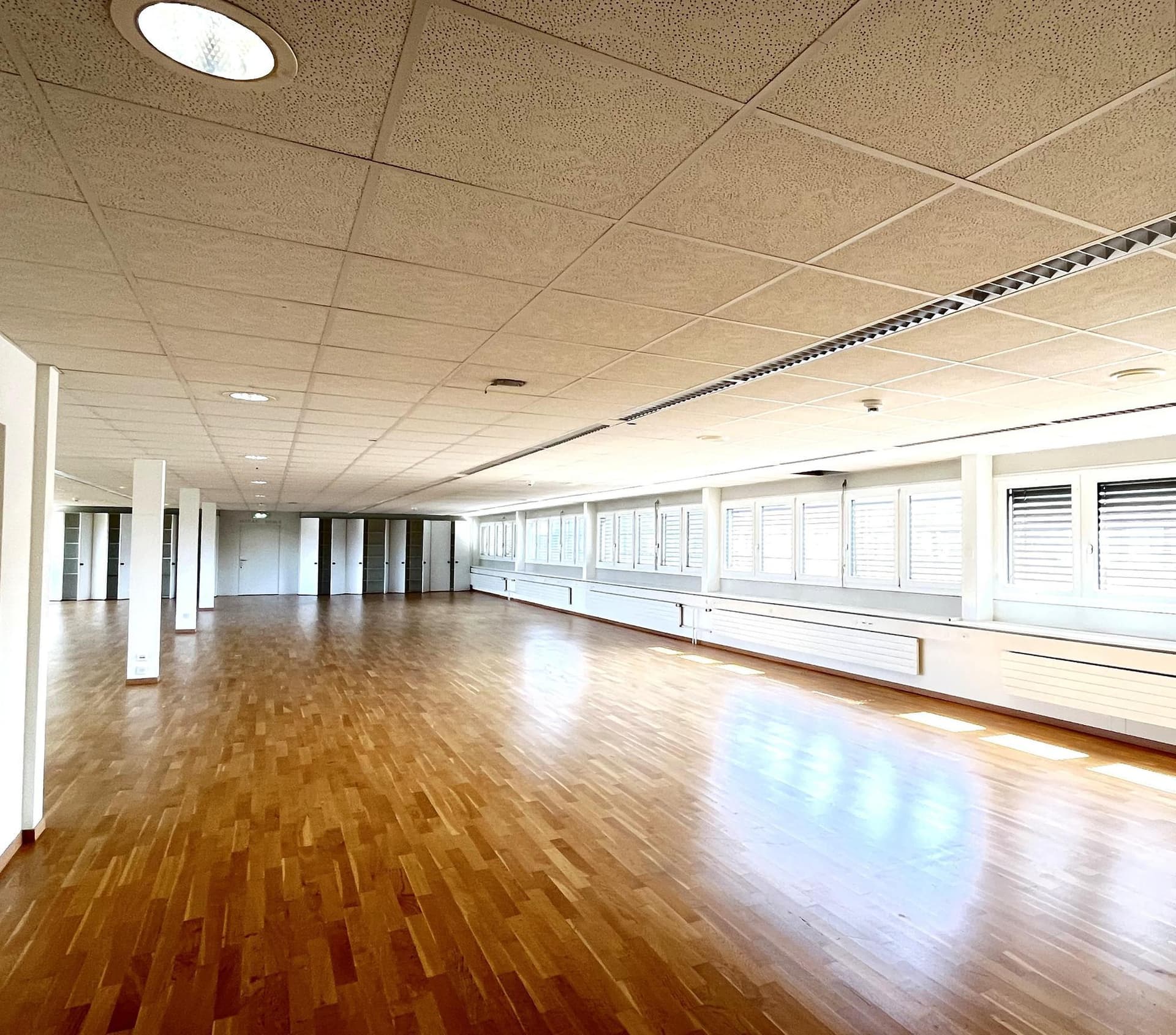 Office Mandachstrasse 50/52