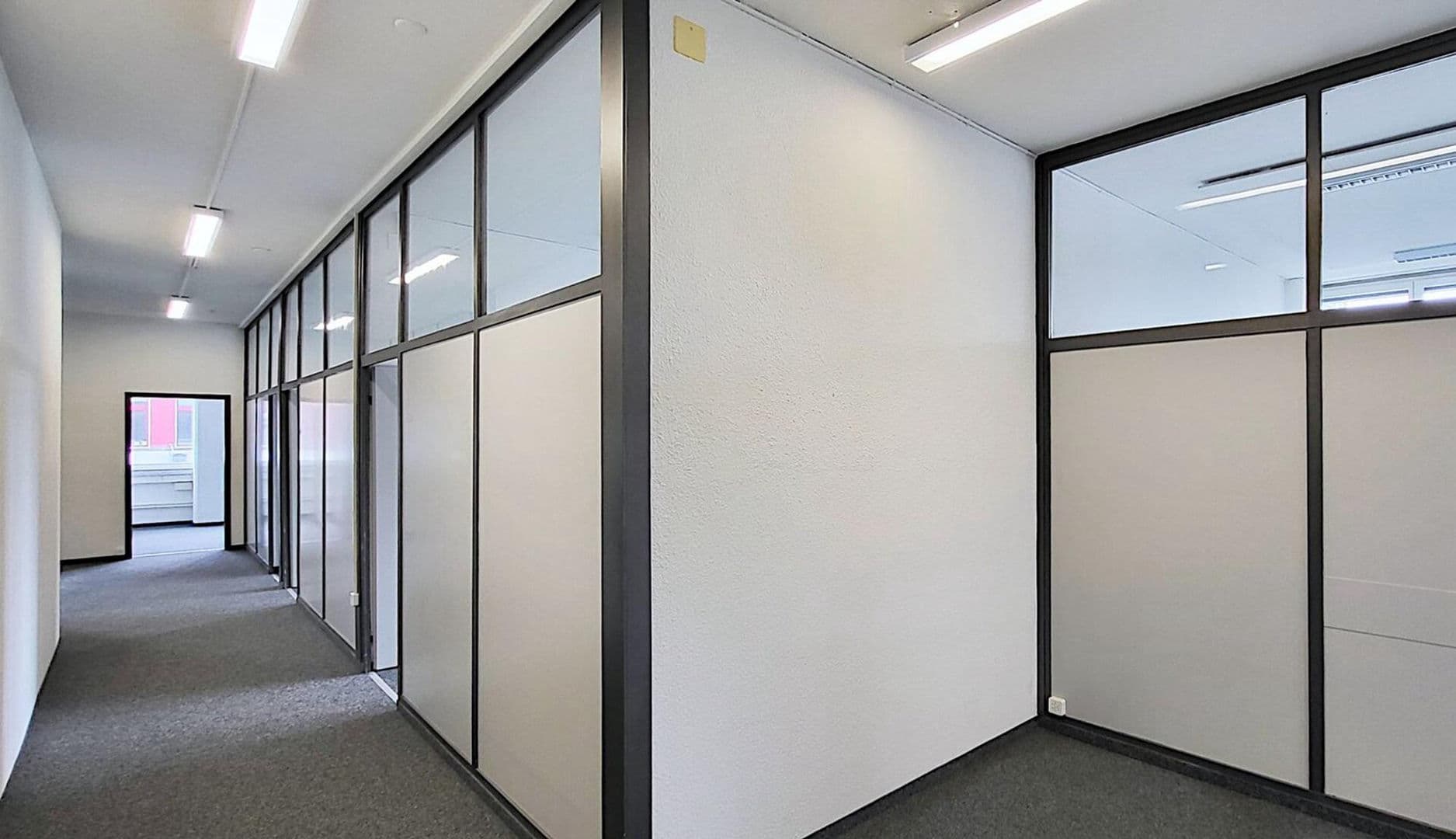 Office Althardstrasse 150
