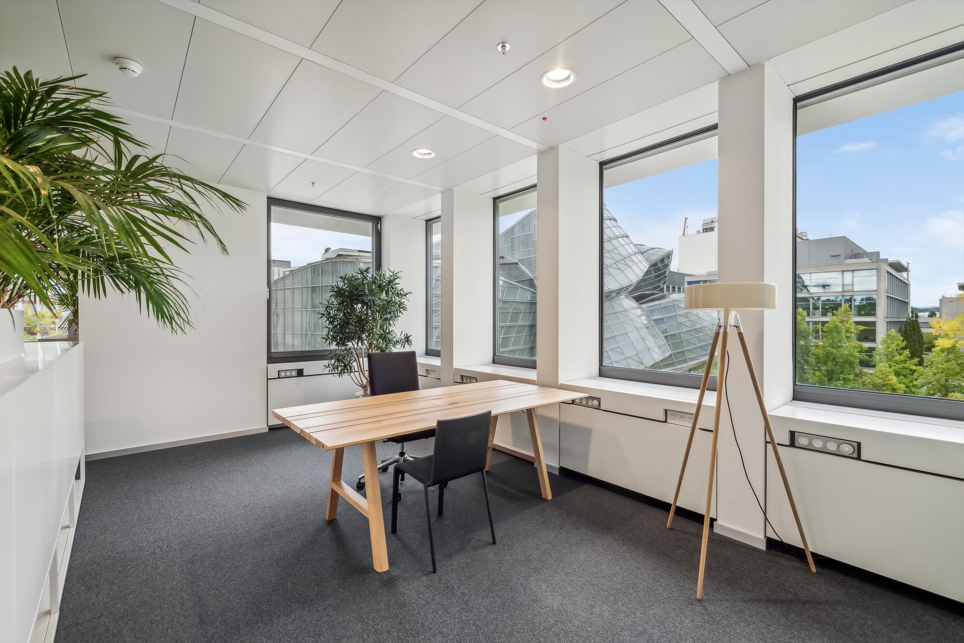 Office Lichtstrasse 35