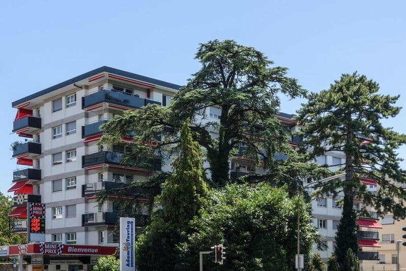 Office Rue Collet 6-8