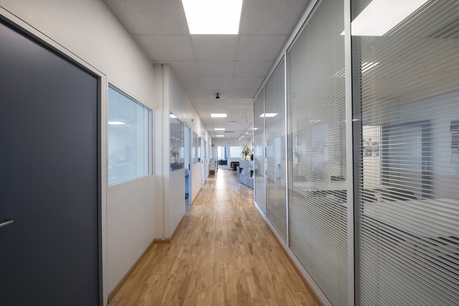 Office Chemin des Aulx 12