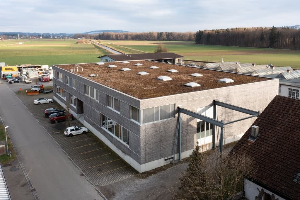 Office Austrasse 6