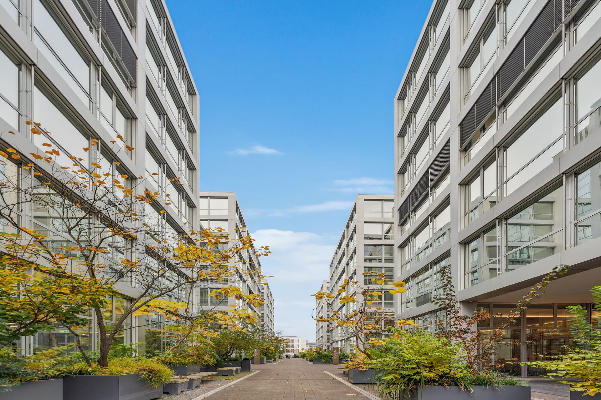 Office Hagenholzstrasse 83