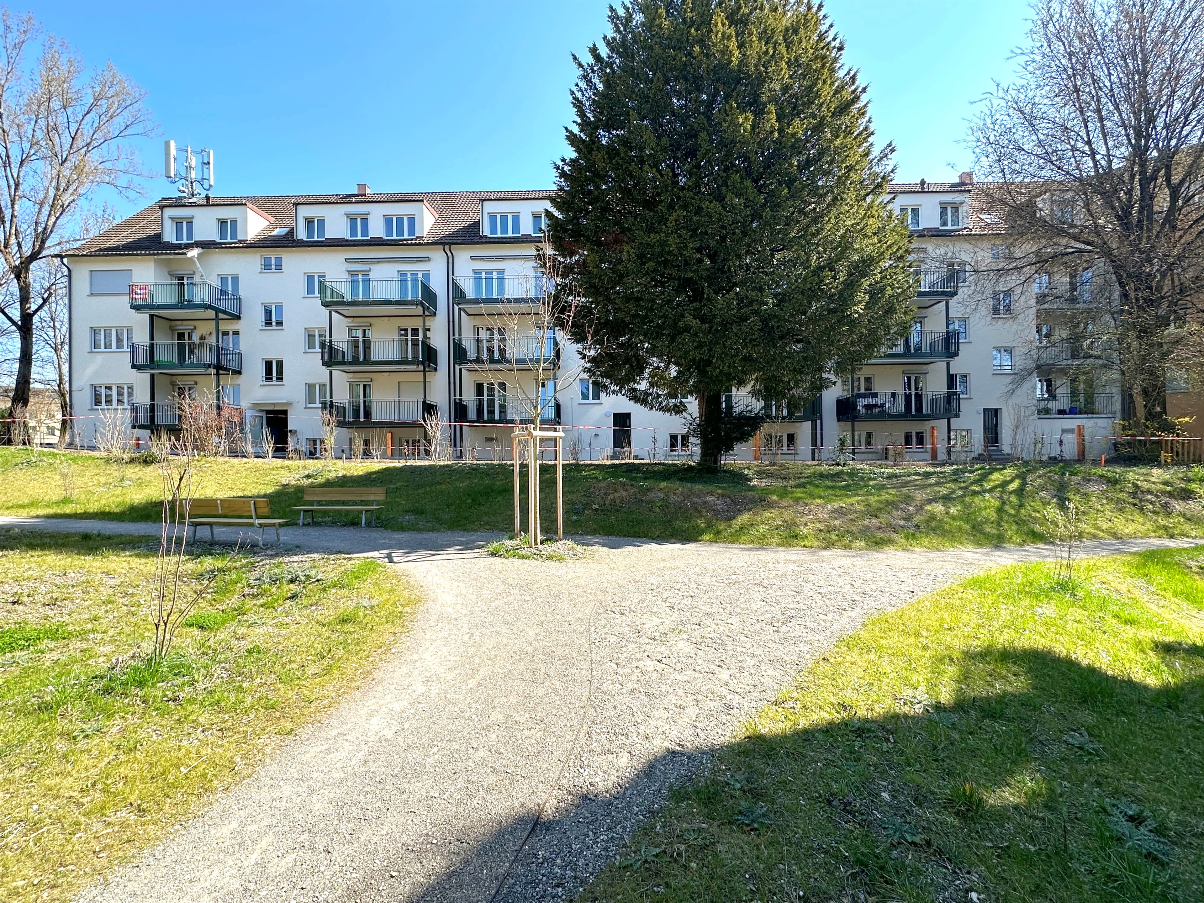 Office Schaffhauserstrasse 163